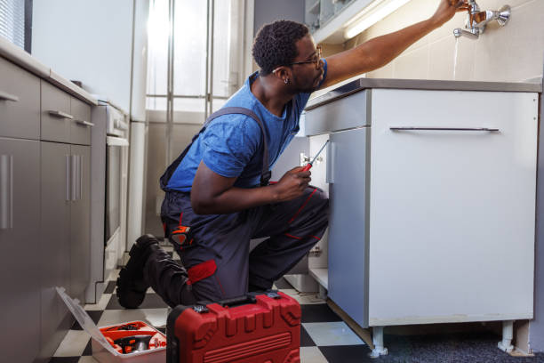 Best Water Softener Installation  in Mcgraw, NY